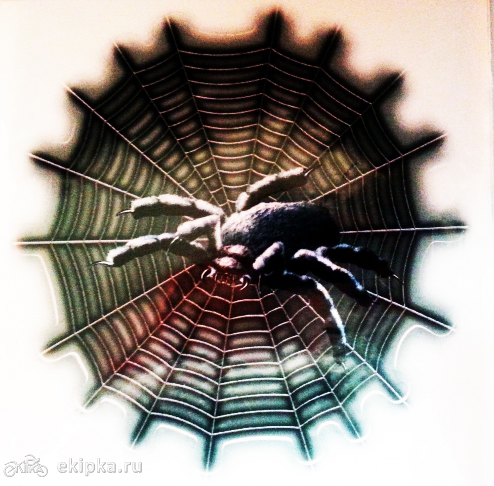 Картинка круглая паутина