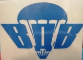 Praid наклейка "ВДВ-парашют" (вырезанная), синяя, 10х14 см