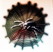 Praid наклейка "Паук на паутине" рис №3, наружная полноцветная, 16х16 см